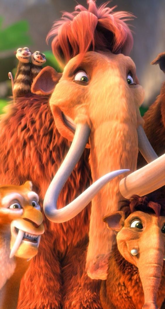  Part Code:  -  Ürünü