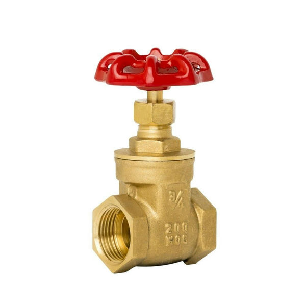 Check Valve G2" Brass 'Rsv Eu 200 Ms' - FC/Hausmarke