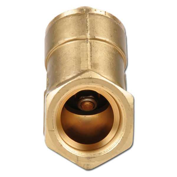 Angle Seat Check Valve Rp1 Brass Rsv 114 Ss Fkm