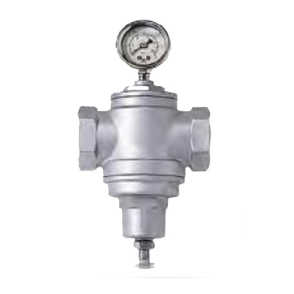 Pressure Regulator Water Drw 2006 Maxi